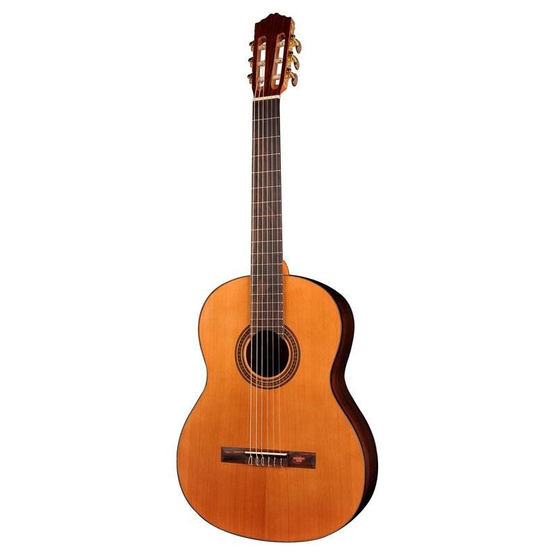 GUITARRA SALVADOR CORTEZ CC-15