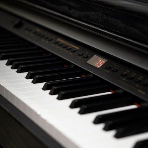 PIANO DIGITAL PIANOVA PR-186 BK