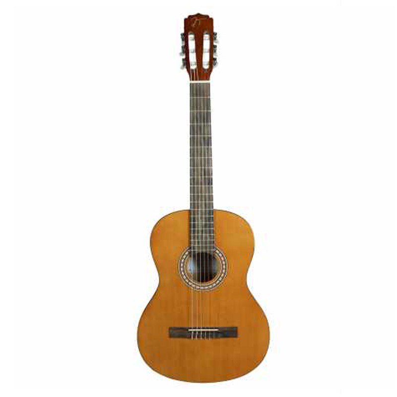 PACK GUITARRA OQAN QGC-25 4/4