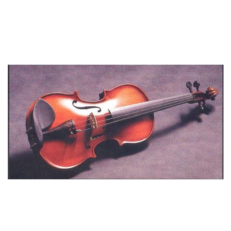 VIOLA 15,5" CORINA SVA-100 15 1/2"...