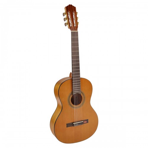 GUITARRA SALVADOR CORTEZ CC-06-JR